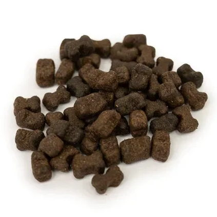 Dental Treats